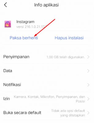 Cara Mengatasi Filter Instagram Tidak Tampil dengan Paksa Berhenti